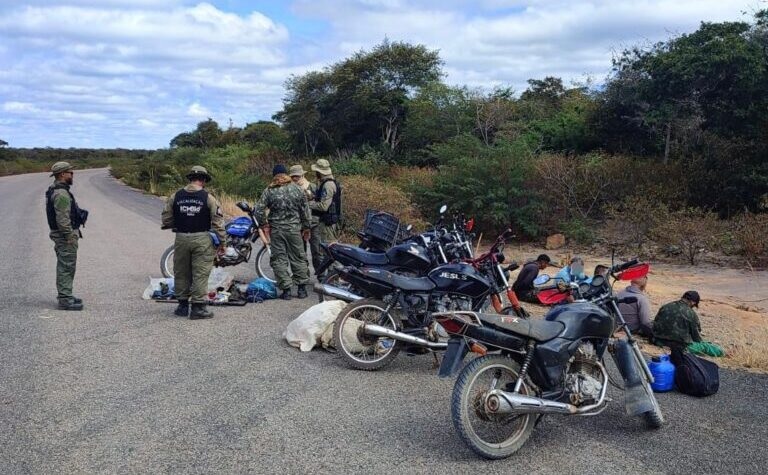 Operação no Parque Serra das Confusões resulta na apreensão de armas, motocicletas e animais abatidos