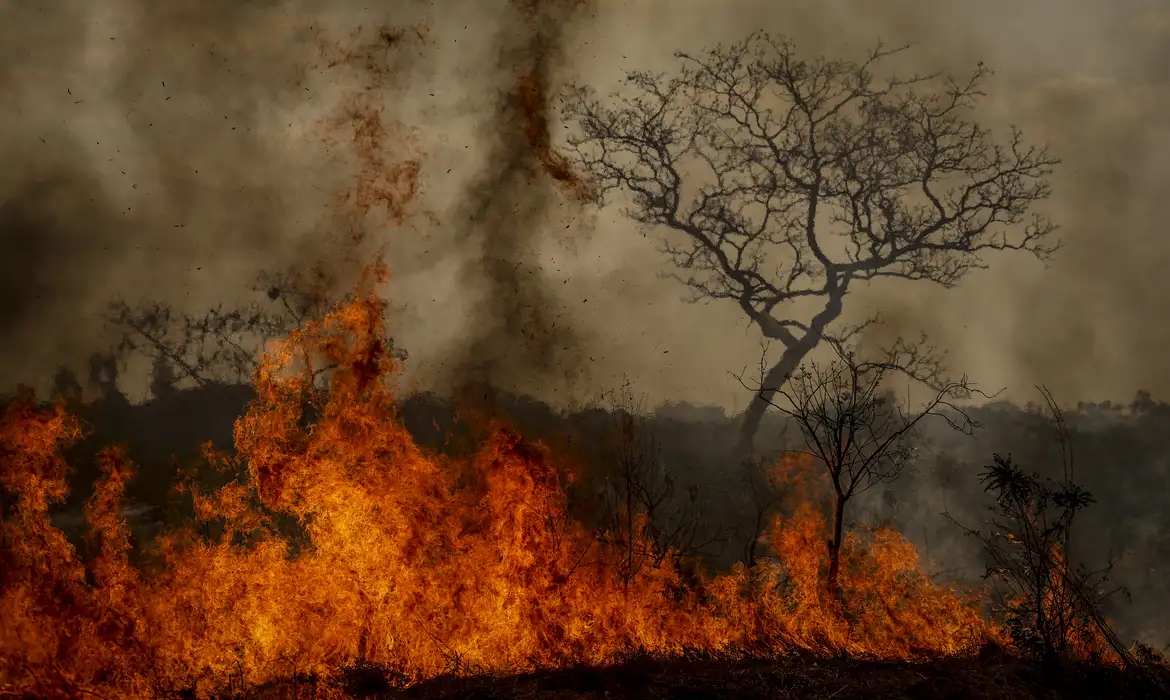 Para 57% dos nordestinos, efeitos do clima foram mais severos em 2024