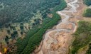 Pesquisa com bactérias na Amazônia pode desenvolver novos medicamentos