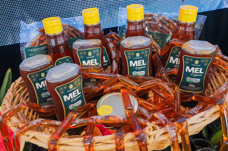 Piauí é o 2º maior produtor de mel do Brasil e exporta mais de R$ 100 milhões po