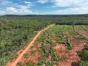 Piauí reduz em 12,4% o desmatamento e reforça proteção da Mata Atlântica Piauí reduz em 12,4% o desmatamento e reforça proteção da Mata Atlântica