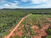 Piauí reduz em 12,4% o desmatamento e reforça proteção da Mata Atlântica