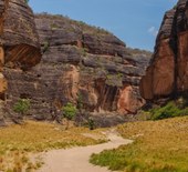Piauí renova com a União acordo para conservação de biomas