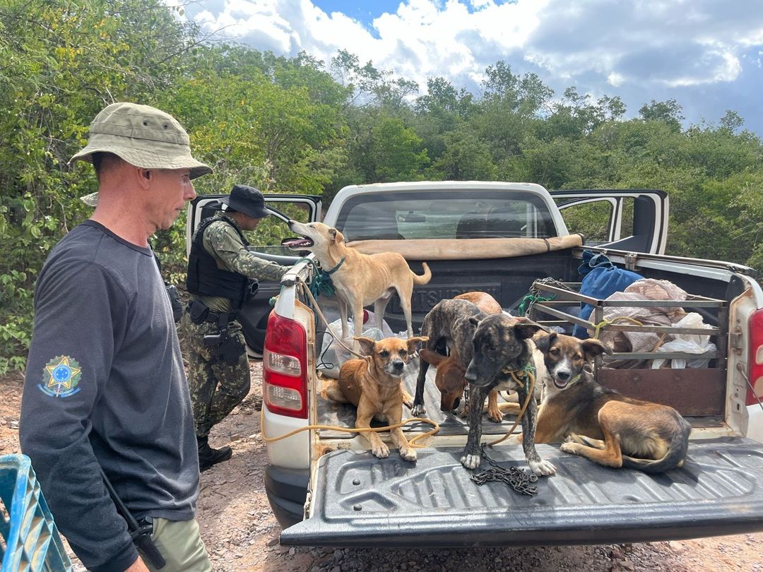 PM do Piauí reforça ações contra a caça ilegal com foco em fiscalização e conscientização