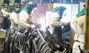 "Prévia do PIB" do BC aponta que Brasil cresceu 3,8% em 2024