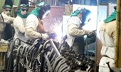 "Prévia do PIB" do BC aponta que Brasil cresceu 3,8% em 2024