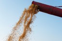 Produção de grãos é estimada em 330,3 milhões de toneladas na safra 2024/25 Produção de grãos é estimada em 330,3 milhões de toneladas na safra 2024/25