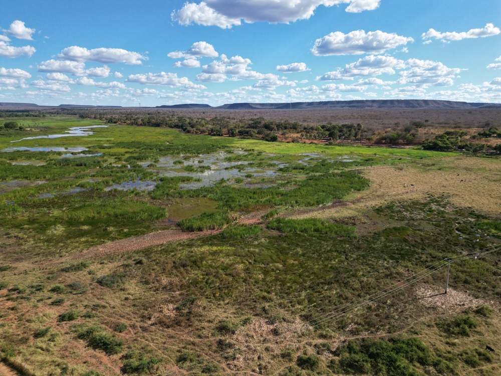 Semarh identifica 35 km de assoreamento no Rio Gurguéia e aponta necessidade urgente de recuperação