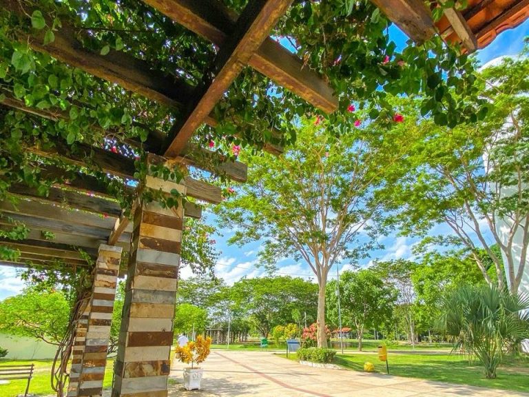 Teresina conquista Selo Ambiental A pelo 10º ano consecutivo e se consolida como referência em sustentabilidade