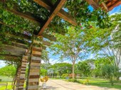Teresina conquista Selo Ambiental A pelo 10º ano consecutivo e se consolida como referência em sustentabilidade