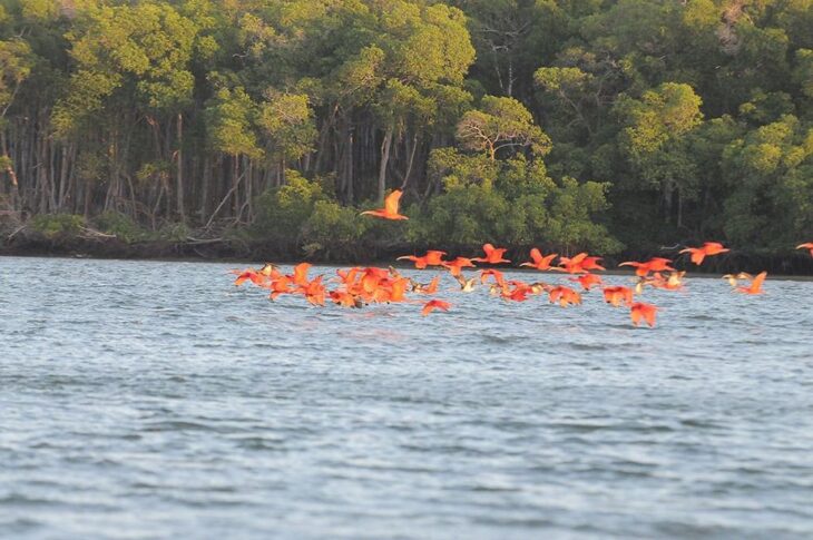 Turismo no Piauí cresce 4,3% e fatura R$ 561 milhões em 2024, diz Fecomércio-SP  