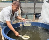 UFPI promove curso sobre controle biológico de larvas de Aedes aegypti e Culex sp