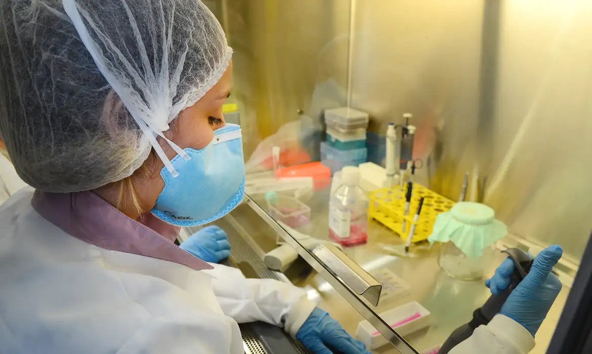 USP: pesquisa de vacina contra zika avança em testes com camundongos