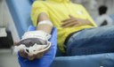 14 em cada mil brasileiros são doadores regulares de sangue