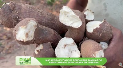 2025: avanços tecnológicos e valorização da agricultura marcam o campo piauiense