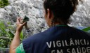 Aberta consulta pública sobre inclusão de vacina da dengue no SUS