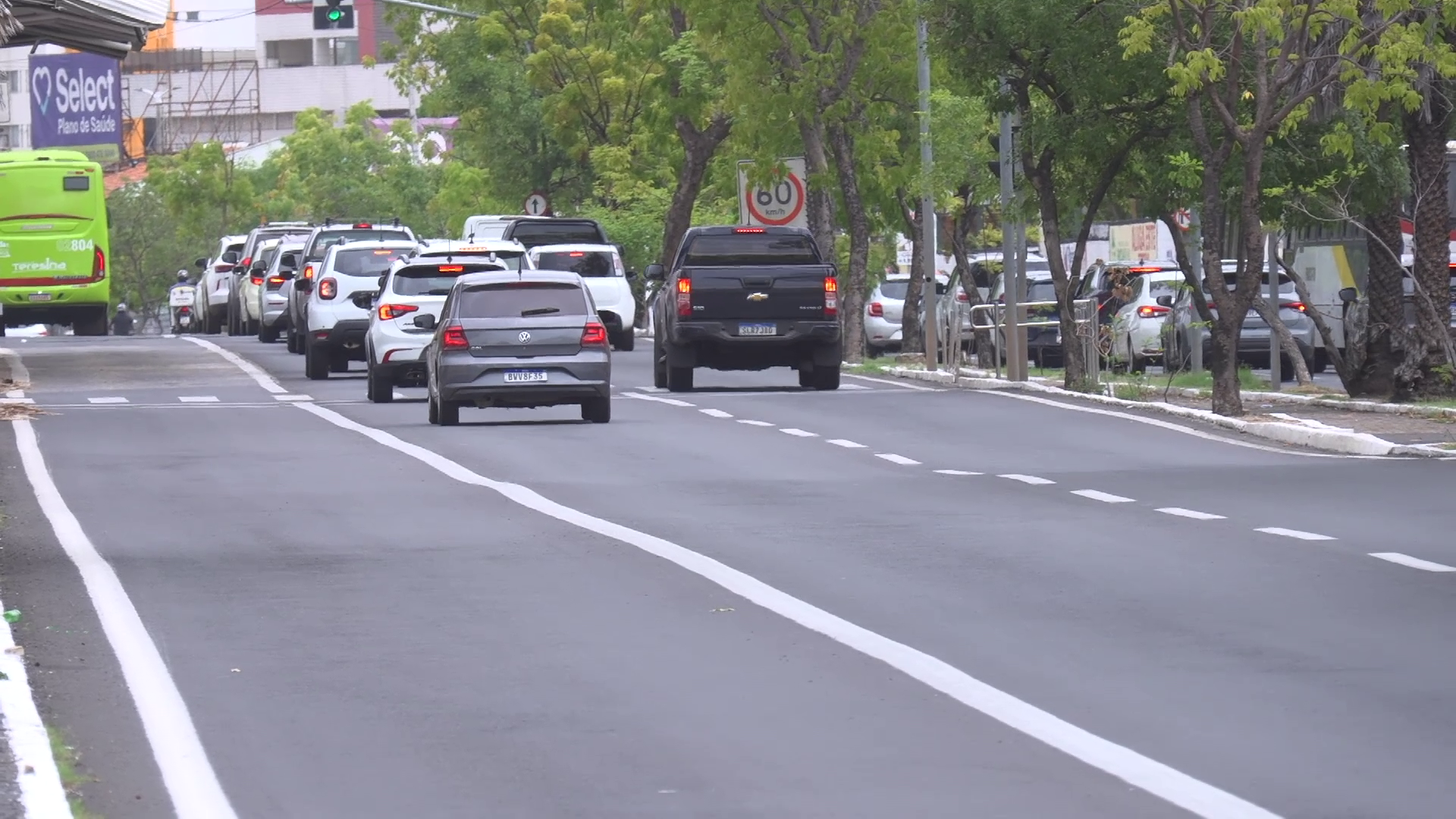 Acidentes com animais soltos: lei propõe penas mais duras para responsabilizar proprietários
