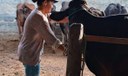 Agricultura familiar fortalece produção leiteira no Nordeste