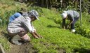 Agronegócio brasileiro bate recorde de ocupação com 28,5 milhões de trabalhadores em 2025