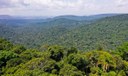 Amazônia é um dos focos da ONU para a Agenda 2030
