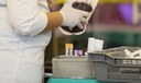 Anemia falciforme foi invisibilizada pelo racismo, dizem entidades