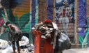 Anistia Internacional: racismo impulsiona a violência de Estado
