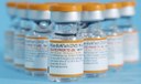 Anvisa aprova vacina da Pfizer para crianças de 6 meses a 4 anos