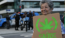 Anvisa defende manutenção de marco regulatório para cannabis medicinal Anvisa defende manutenção de marco regulatório para cannabis medicinal