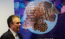 Apontadas soluções para reduzir impactos da invasão do peixe-leão Apontadas soluções para reduzir impactos da invasão do peixe-leão