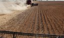 Área agrícola do Piauí cresce 282% em 20 anos, aponta IBGE