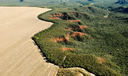 Área desmatada no Brasil em 2023 cai 11,6%, indica MapBiomas Área desmatada no Brasil em 2023 cai 11,6%, indica MapBiomas