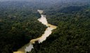 Área usada pelo garimpo ilegal aumenta em 35 mil hectares
