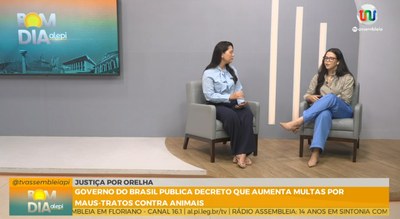 Bom Dia Alepi destaca endurecimento de multas contra maus-tratos a animais após caso que chocou o país