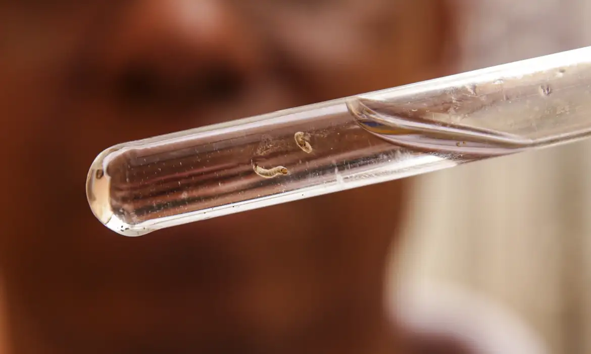 Brasil atinge 1,6 mil mortes confirmadas por dengue