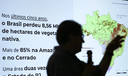 Brasil já perdeu 33% das áreas naturais de seu território Brasil já perdeu 33% das áreas naturais de seu território