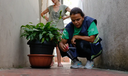Brasil se aproxima de 5 mil mortes por dengue em 2024 Brasil se aproxima de 5 mil mortes por dengue em 2024