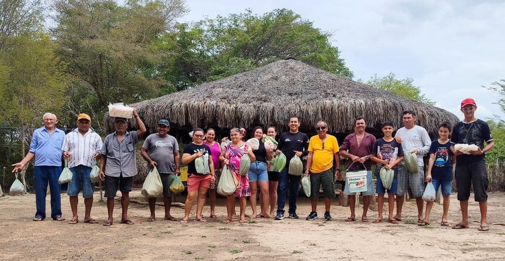 Comunidades indígenas do Piauí se destacam na produção de alimentos