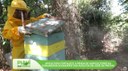 Confira os destaques do Piauí que Produz deste domingo (16)