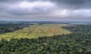 Degradação de florestas na Amazônia bate recorde mensal em setembro Degradação de florestas na Amazônia bate recorde mensal em setembro