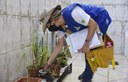 Dengue: casos prováveis ultrapassam 439 mil em 2025