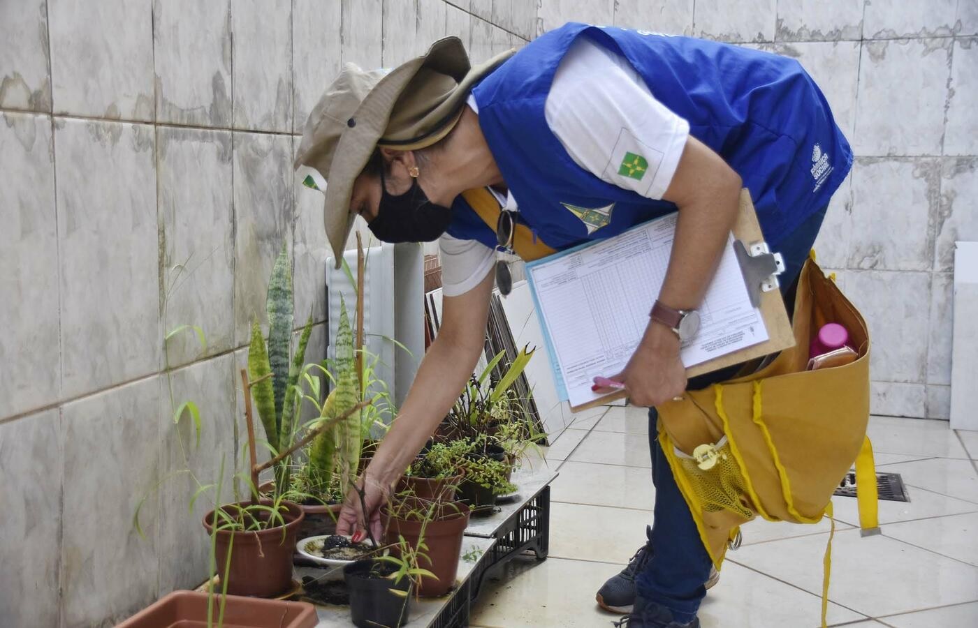 Dengue: casos prováveis ultrapassam 439 mil em 2025