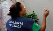 Dengue: Especialistas confirmam aumento dos casos e alertam sobre prevenção no Carnaval