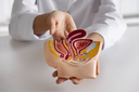 Doença renal crônica cresce no Brasil Doença renal crônica cresce no Brasil