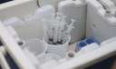 Doenças eliminadas por vacinas matavam mais que guerras mundiais