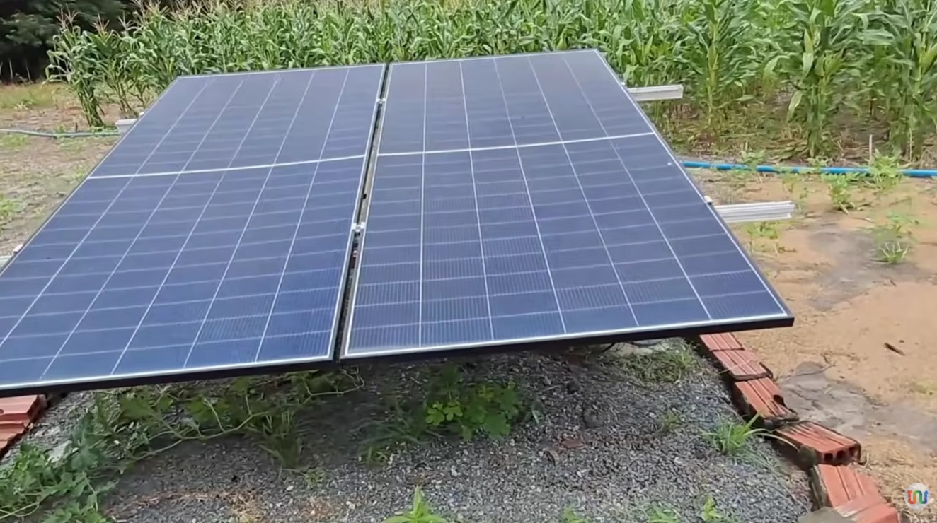 Energia solar impulsiona agricultura familiar no interior do Piauí