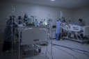 Estudo aponta causas do surgimento de fungo resistente a drogas