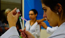 Fiocruz: vírus sincicial respiratório e influenza A ainda exigem atenção Fiocruz: vírus sincicial respiratório e influenza A ainda exigem atenção