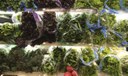 Frio influencia preços de frutas e hortaliças no atacado