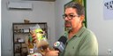 Genética no campo e produção sustentável são destaques no Piauí que Produz deste domingo (20)