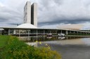 Gestante que perder o bebê terá política de tratamento humanizado